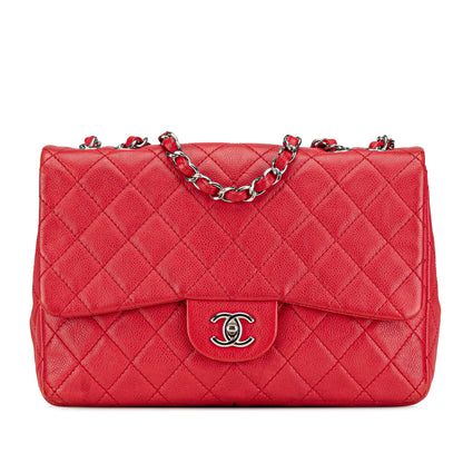 Chanel Jumbo Classic Caviar Single Flap