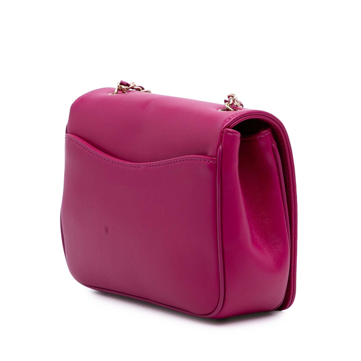 Chanel Lambskin CC Mania Flap