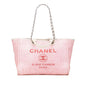 Chanel Medium Canvas Deauville Satchel