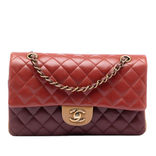 Chanel Medium Classic Tricolor Lambskin Double Flap