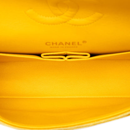 Chanel Medium Classic Velvet Double Flap