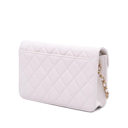 Chanel Medium Quilted Calfskin Enchained Flap