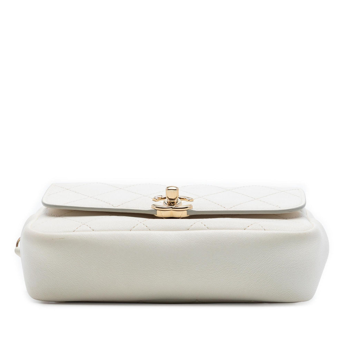 Chanel Quilted Goatskin Casual Trip Waist Bag