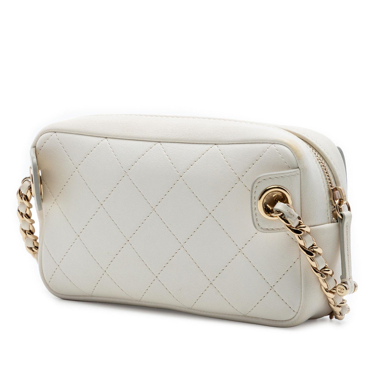 Chanel Quilted Goatskin Casual Trip Waist Bag