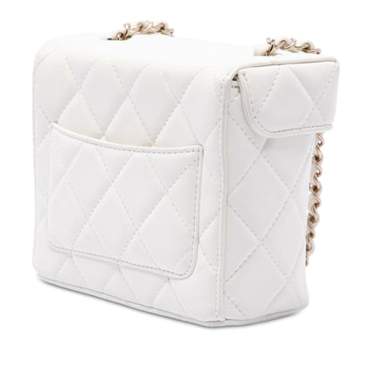 Chanel Small CC Quilted Lambskin Secret Box Bag