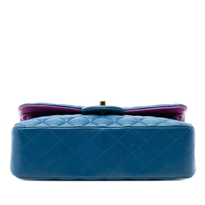 Chanel Small Classic Lambskin Rainbow Hardware Double Flap