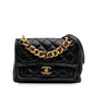 Chanel Small Quilted Lambskin Chain Link Flap