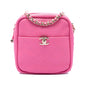 Chanel Stitched Goatskin Casual Trip North South Camera Case
